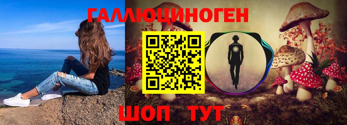 Галлюциногенные грибы Psilocybe  Вход с VPN  купить наркоту  Серов 